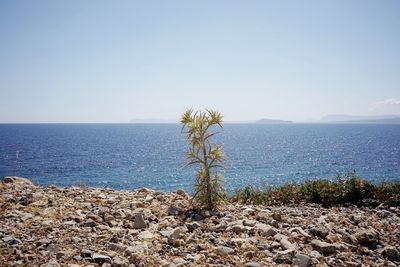 Scenic view of sea against clear sky