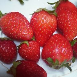 Close-up of strawberries