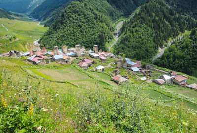 High angle view of trees and houses on field