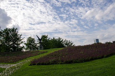 Scenic view of grassy field against cloudy sky