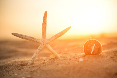 Close-up of umbrella on beach against sky