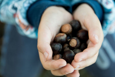 Midsection of boy holding chestnuts