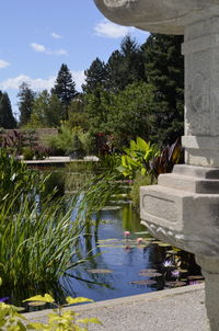 Pond in garden