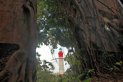 Low angle view of built structure