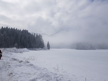 Snow covered land and trees against sky