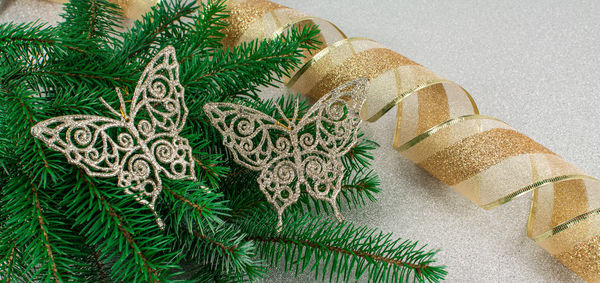 Close-up of christmas tree