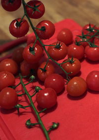 Close-up of red berries