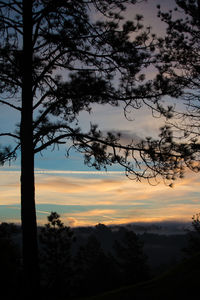 Silhouette trees on landscape against dramatic sky