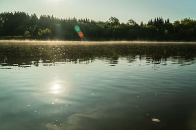 Reflection of trees in lake against sky