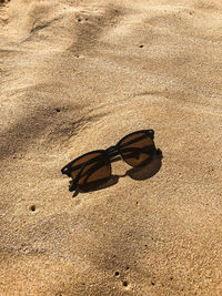 High angle view of butterfly on sand