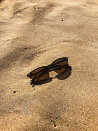 High angle view of butterfly on sand