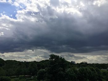 Low angle view of trees against storm clouds