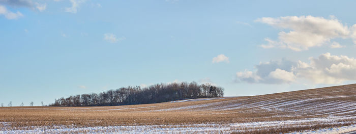 Trees on field against sky