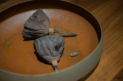 High angle view of bird in bowl on table