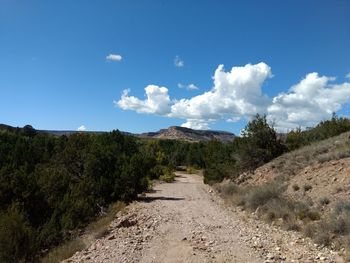 Dirt road amidst plants against sky