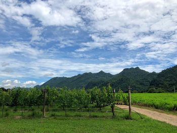 Scenic view of field against sky