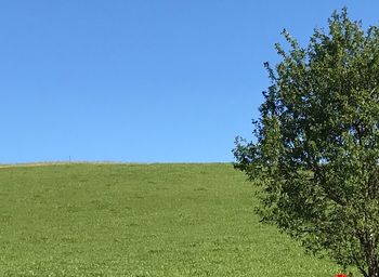 Scenic view of field against clear blue sky