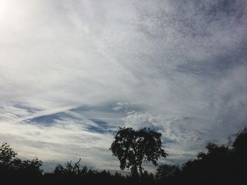Low angle view of silhouette trees against sky