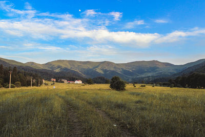 landscape
