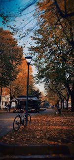 Bicycle parked on street in park during autumn