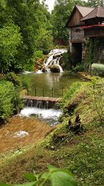 Scenic view of waterfall in forest