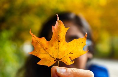 Close-up of hand holding maple leaf