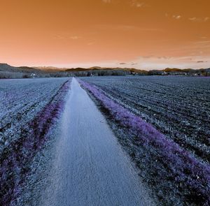 View of road at sunset