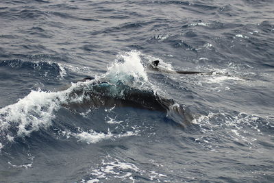 Waves splashing on sea