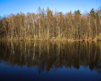 Reflection of trees in lake against sky