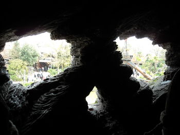 Close-up of silhouette people by trees against sky