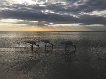 Scenic view of sea against cloudy sky