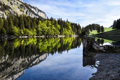 Scenic view of lake by trees against sky