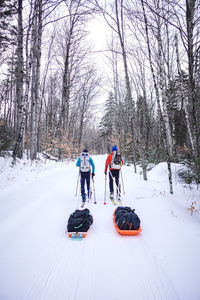 Two men ski on a trail dragging pulk sleds in winter