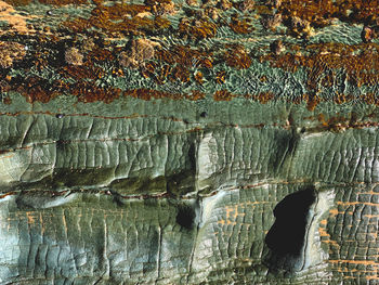 Full frame shot of rock formation