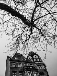 Low angle view of bare tree against sky