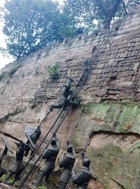 Low angle view of tree mountain against sky