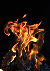 Close-up of bonfire at night