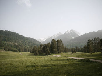 Scenic view of landscape against sky