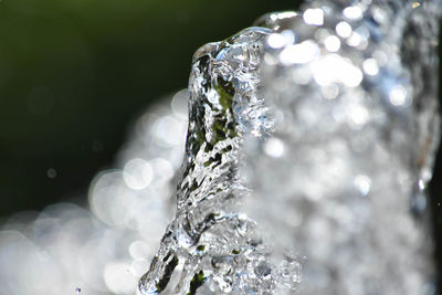 Close-up of water drops on leaf