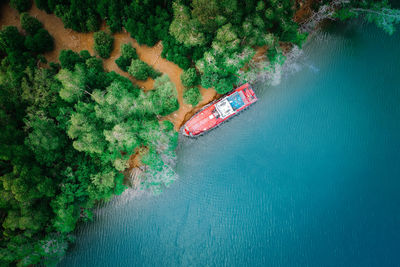 High angle view of sea by trees