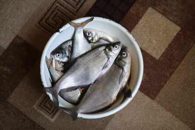 High angle view of fish in container