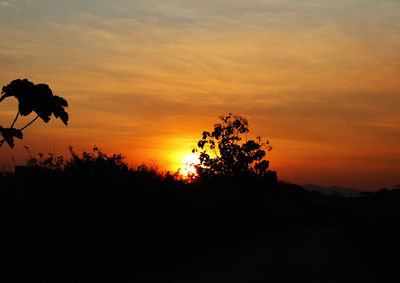 Silhouette trees on field against orange sky