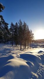 Trees on snow covered field against sky