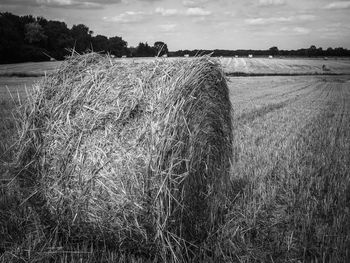 Hay bales on field against sky
