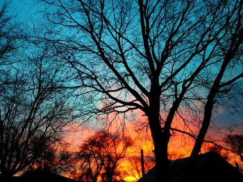 Silhouette bare trees in forest against sky