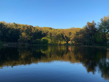 Scenic view of lake by trees against clear sky