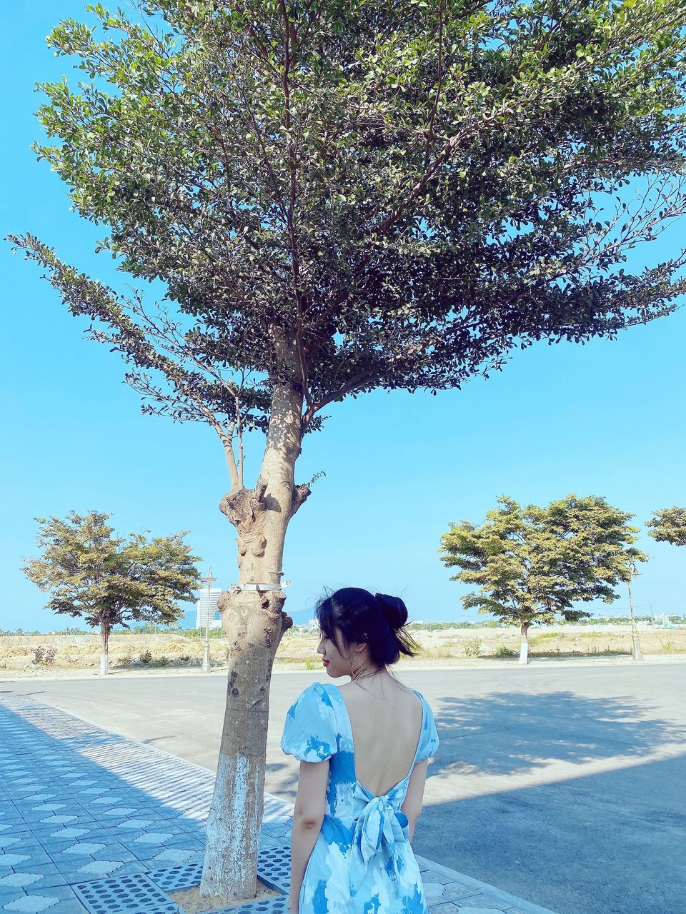 tree, plant, one person, nature, flower, women, blue, adult, spring, day, rear view, standing, sky, young adult, sunlight, outdoors, fashion, full length, clothing, road, female, leisure activity, casual clothing, growth, lifestyles, hairstyle, dress, beauty in nature, looking, person, footpath, sunny, transportation