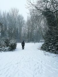 People walking on snow covered trees