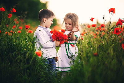 People on red flowering plants