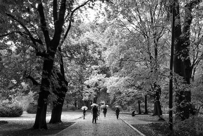 People walking on footpath